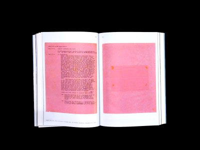 Inventing with Hélio Oiticica: The Story of a Friendship