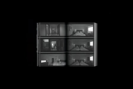 Parafiction II