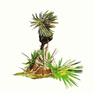 Lagoss - Música para Plátanos (vinyl LP) 