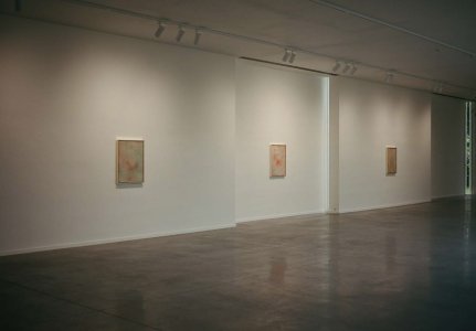 Skin Paintings