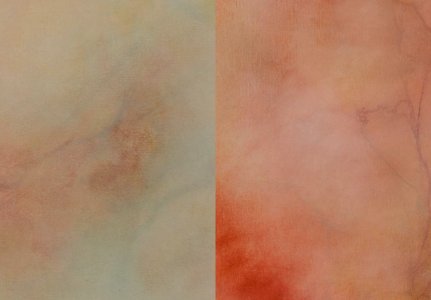 Skin Paintings