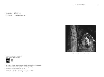 La bal des hirondelles