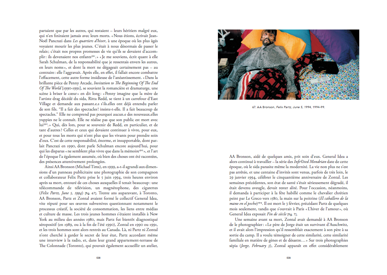Thibault Boulvain : L'art en sida - Les presses du réel (book)